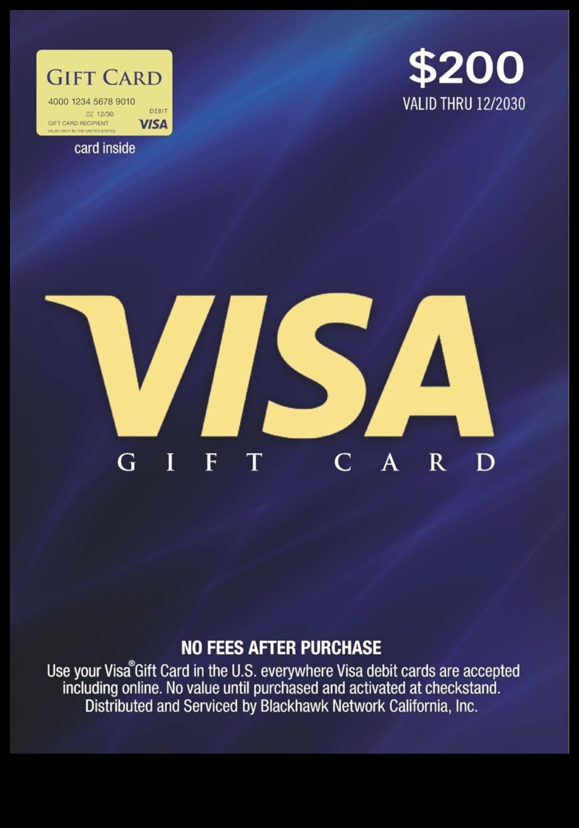 Visa Gift Card Accepted Everywhere 1