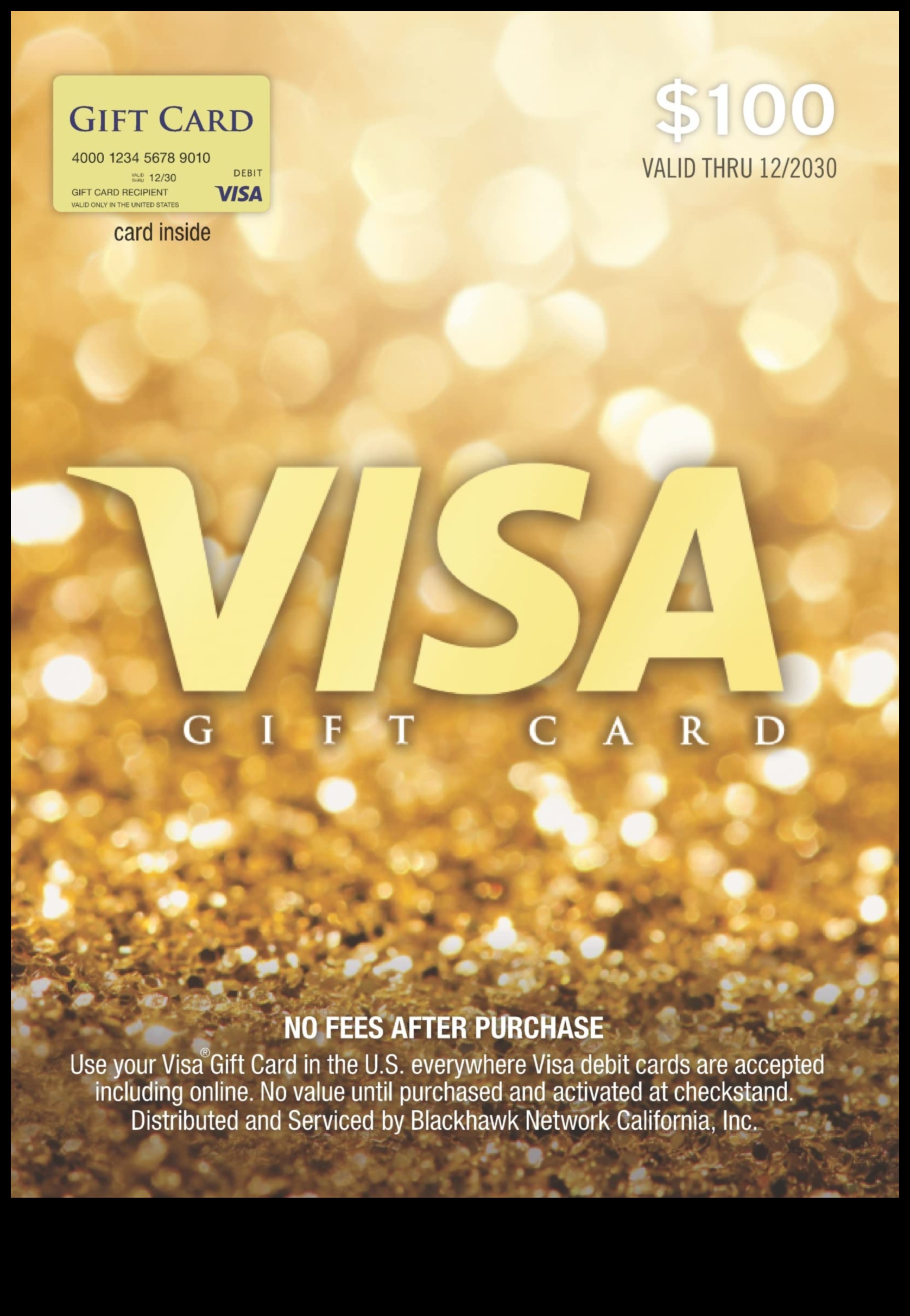 Visa Gift Card The Perfect Gift for Amazon Shoppers 1